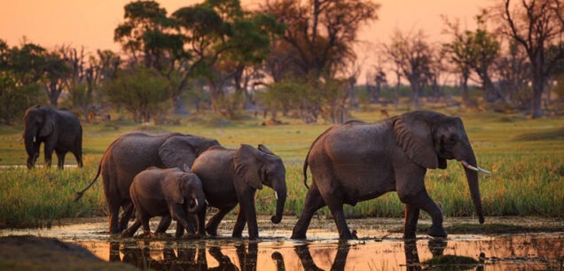 Tarangire National Park