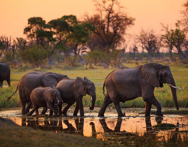 Tarangire National Park