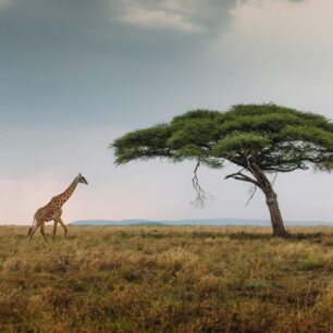 Serengeti National Park
