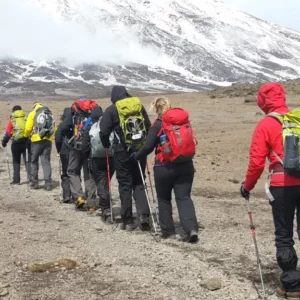 Lemosho Route 7 Days Trek - Ascnzen Safaris