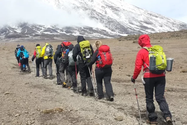Lemosho Route 7 Days Trek - Ascnzen Safaris