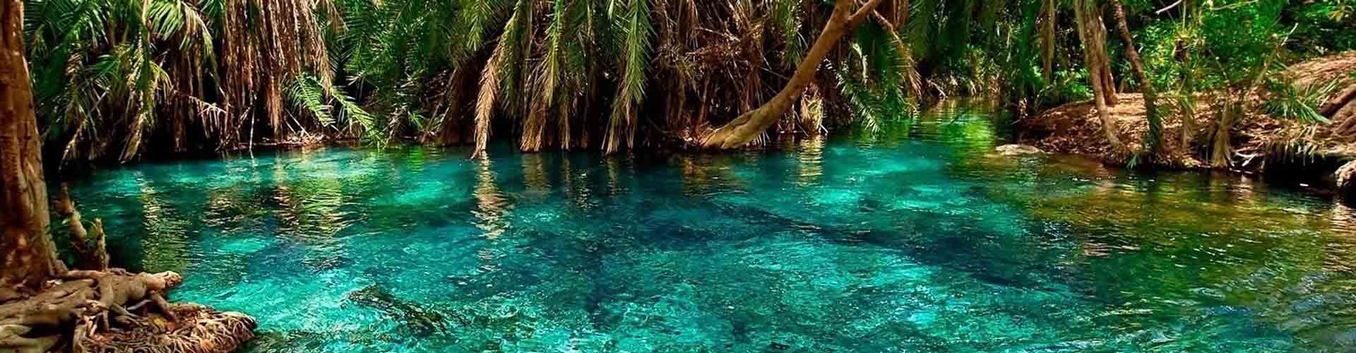 Chemka Hot Spring | Kikuletwa Hot Spring Day Trip
