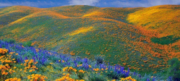 Kitulo National Park, Locals refer to Kitulo Plateau