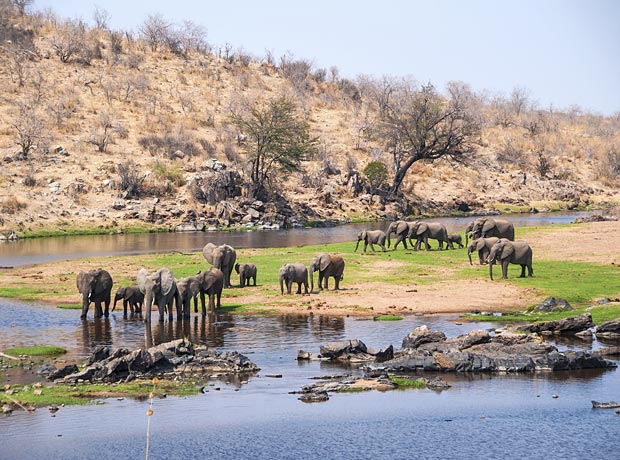 Ruaha-National-Park-safari