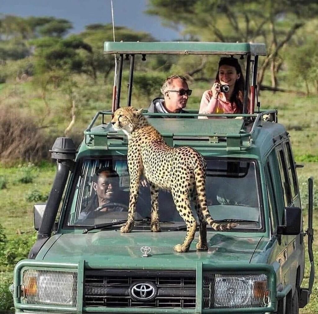 4 Day Safari from Zanzibar to Tarangire