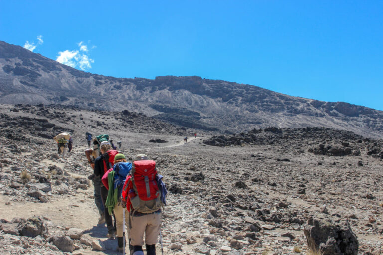 Day 5- Karanga Camp to Barafu Camp
