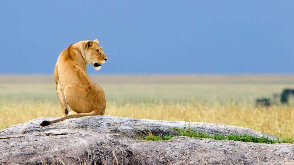 best African safari destinations