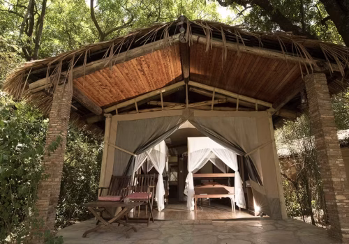 Fig tree lodge & camps