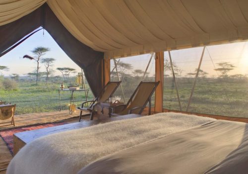  Serengeti Bush Camp 